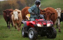 Honda ATV Cattle