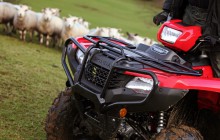 Honda ATV Sheep Farming