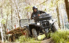 Yamaha ATV Forestry