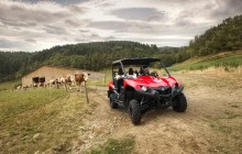 Yamaha SbS Cattle